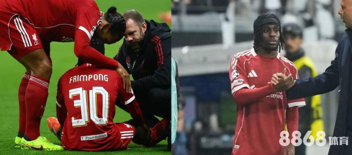 米乐体育 - nba小牛